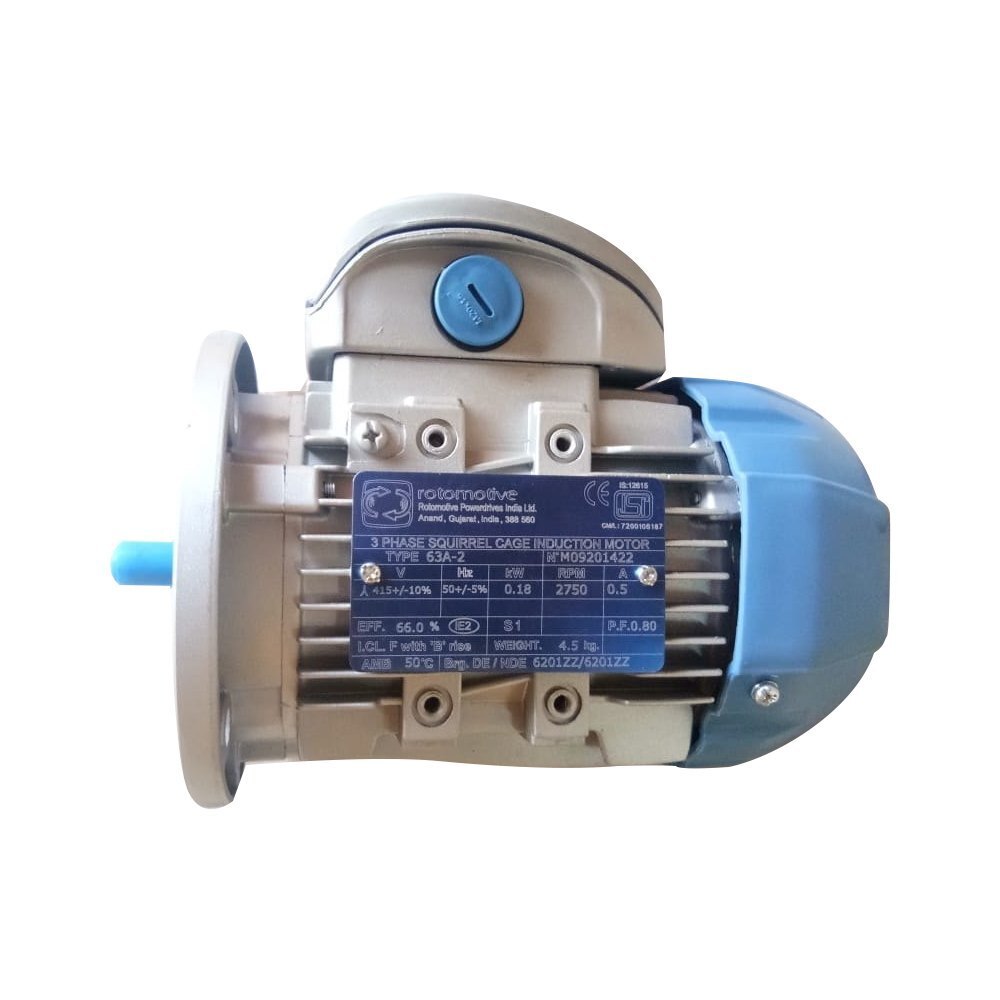 Three Phase Asynchronous Motor