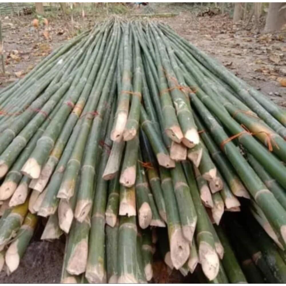 25 Feet Murli Bamboo Stick