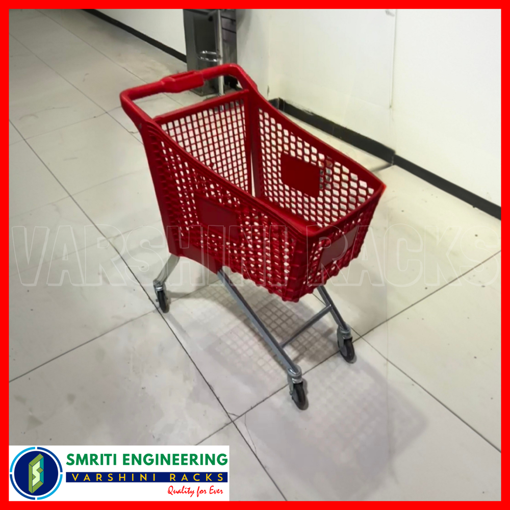 Kids Shopping Cart