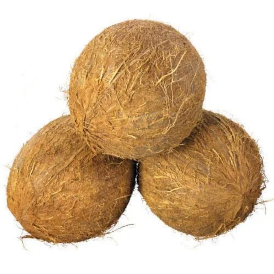 Natural Brown Coconut - Cultivation Type: Common
