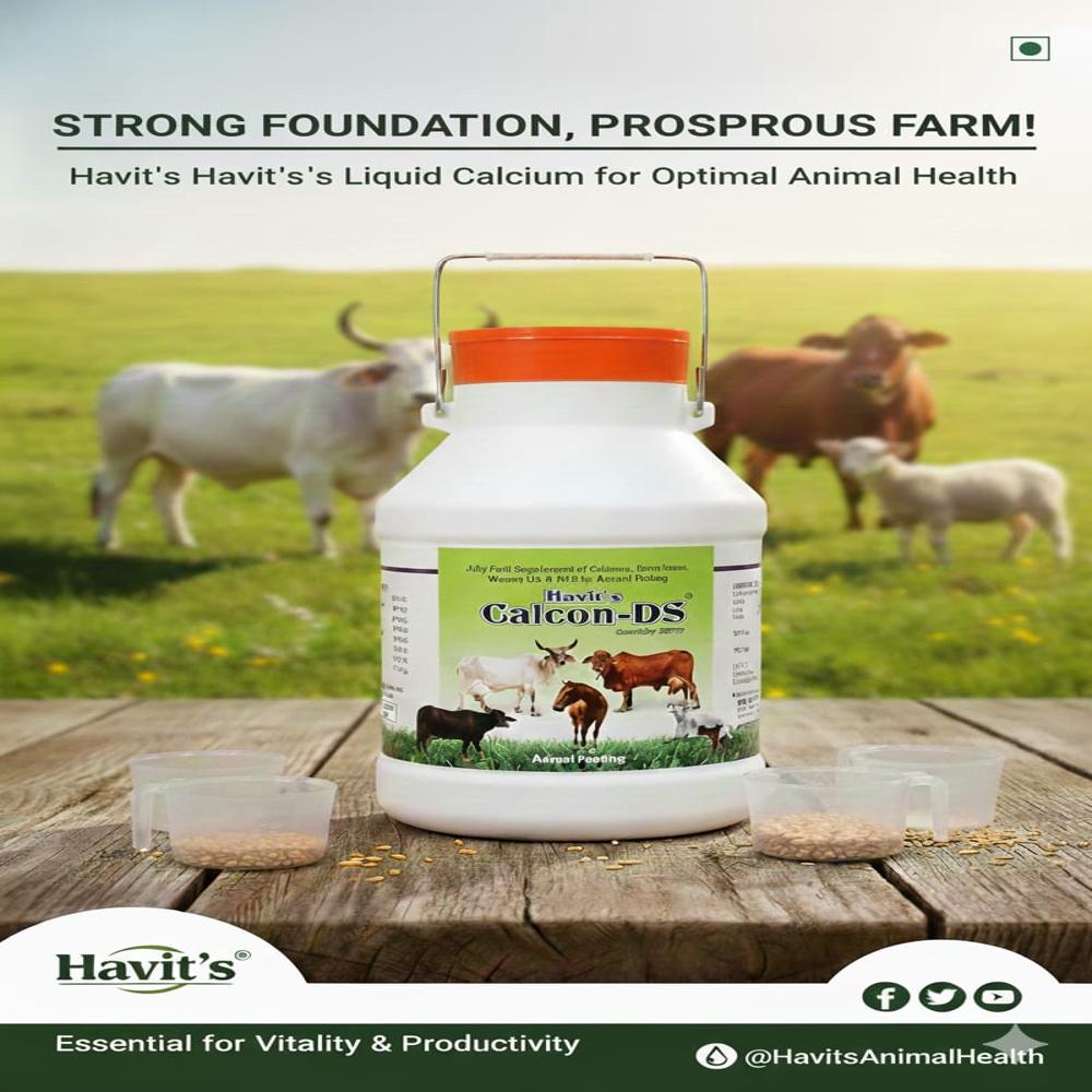 5 Ltr Animal Feed Supplement