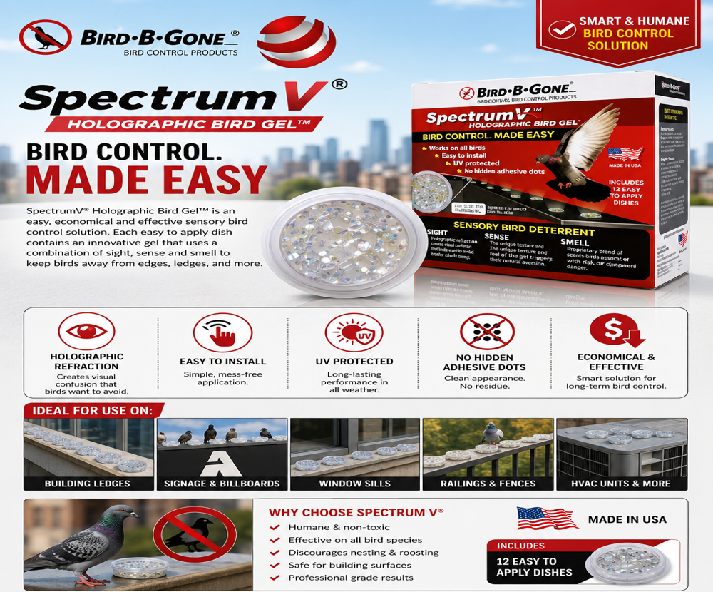 BIRD B-GONE SPECTRUM BIRD OPTICAL GEL - U.V. Protected PVC Dish, Silver, Weatherproof | Multi-Sensory Gel, Holographic Visual, Food-Grade Scent