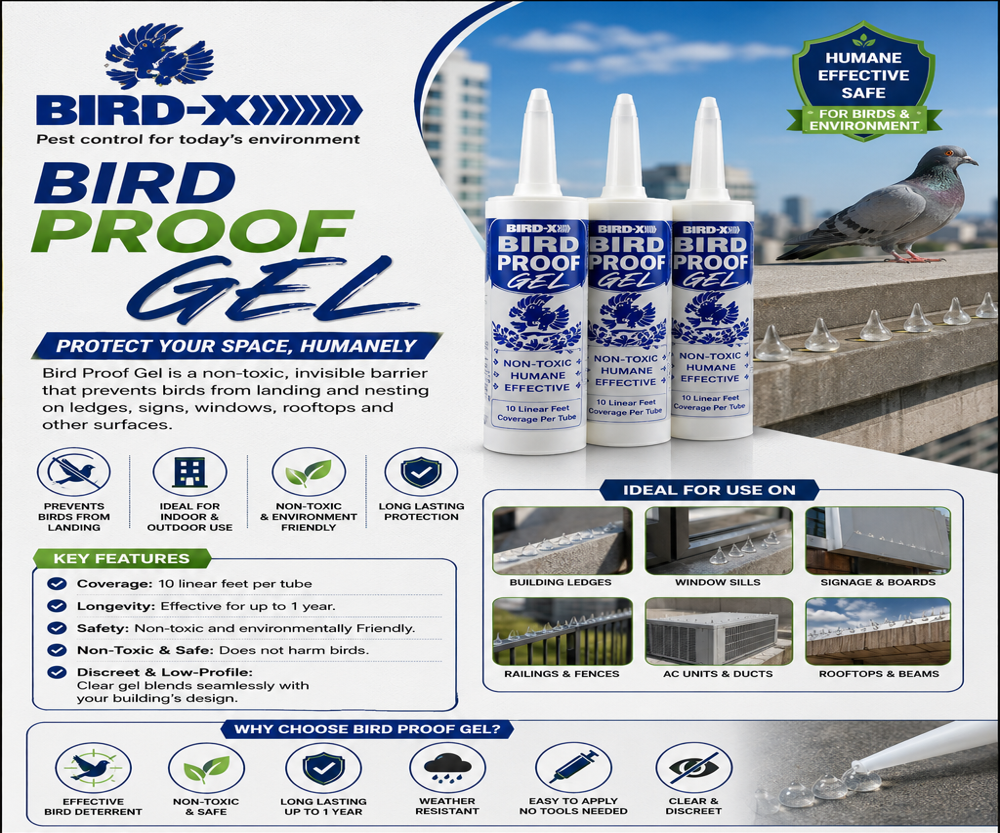 Bird-X Bird Proof Gel - Polybutene-Based Gel, Standard Caulk Tube, Transparent | Non-Toxic, Weatherproof, Removable Sticky Barrier