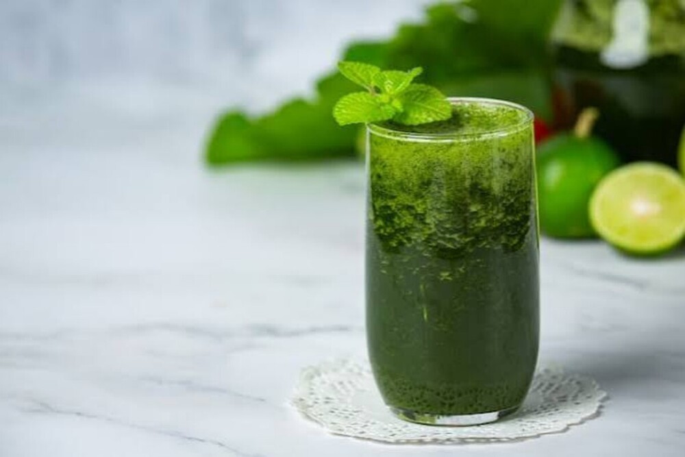Moringa Juice Herbal - Additives: Permitted Food Grade Preservatives