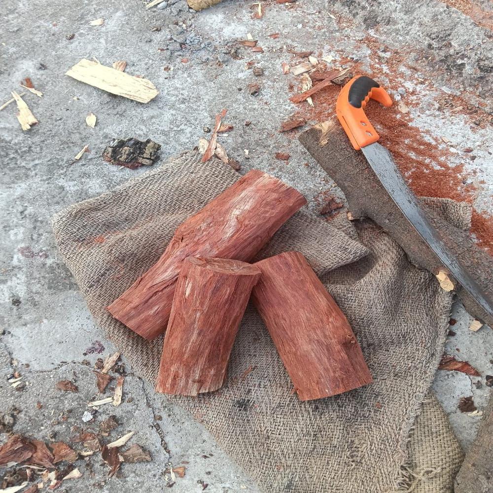 Red Sandalwood