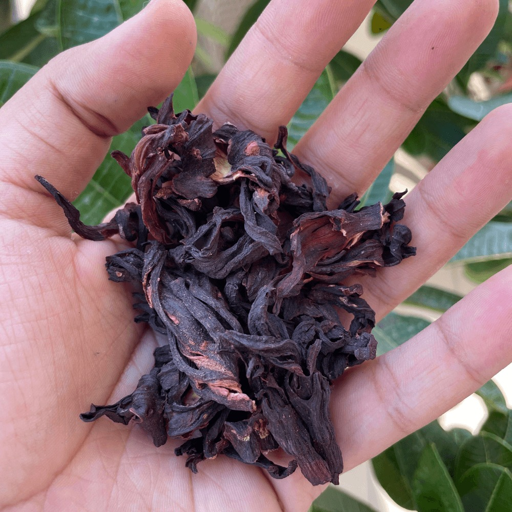 Dry Hibiscus Flower And Hibiscus Tea