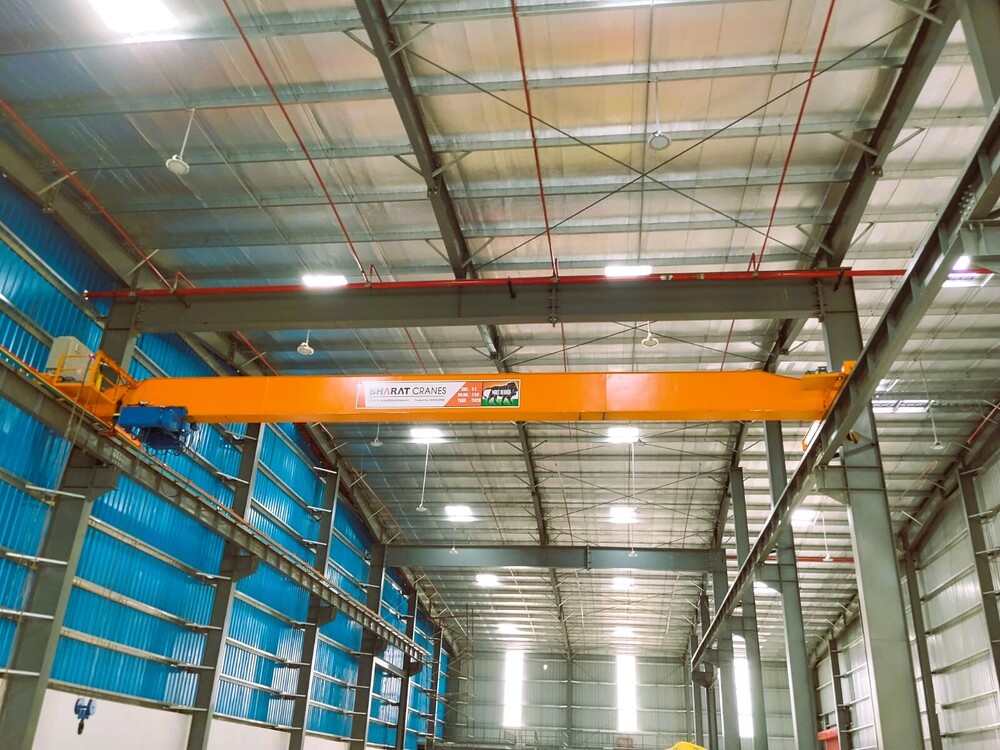 Single Grinder Eot Cranes