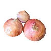 Fresh Red Onion - Cultivation Type: Common / Organic