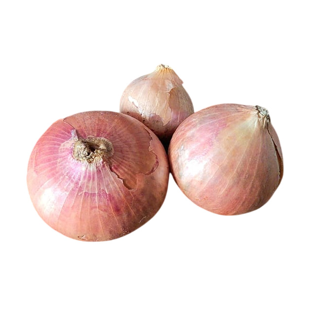 Fresh Red Onion