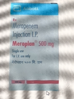 Meroplan 500