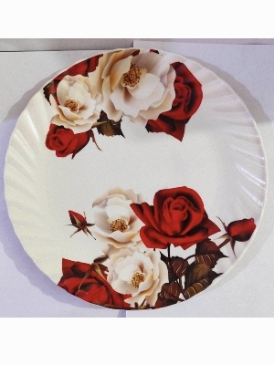 Fiber Crockery - Color: White