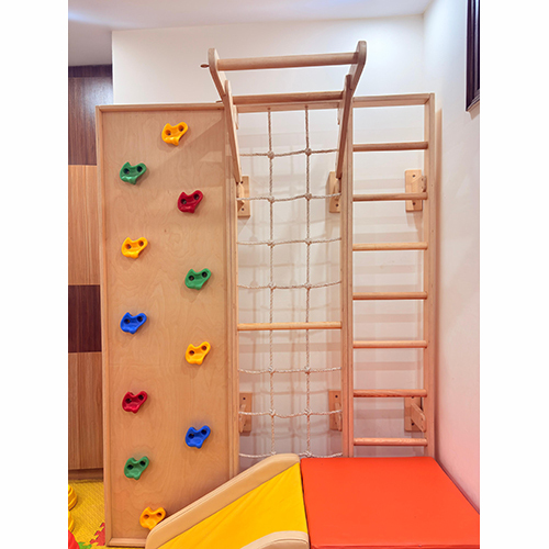 Wall Ladder