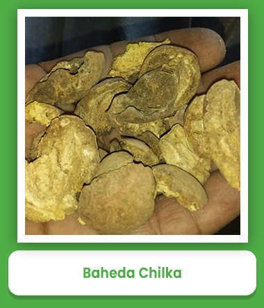 Baheda Chilka Baheda Chilka