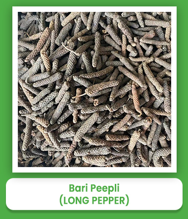Long Pepper Bari Peepli