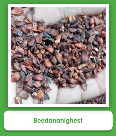 Natural Herbs