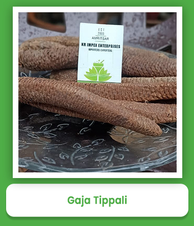 Gaja Tippali