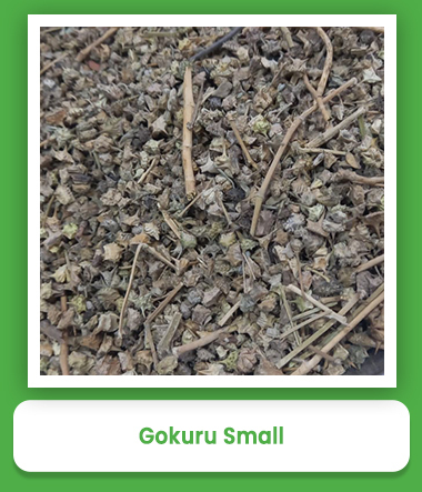 Small Gokuru