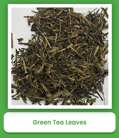 Green Tea Leaves