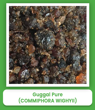 Commiphora Wighyii Pure Guggal Commiphora Wighyii Pure Guggal