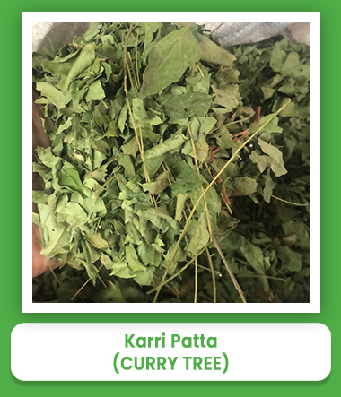 Green Curry Leaves