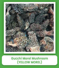 Yellow Morel Gucchi Morel Mushroom - Dried Whole Conical Honeycombed, Less Than 10% Moisture, Rich Smoky Umami Flavor