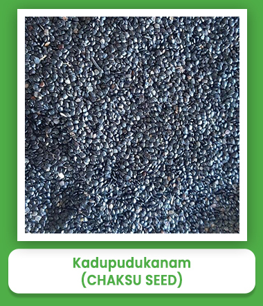 Kadupudukanam Chaksu Seeds