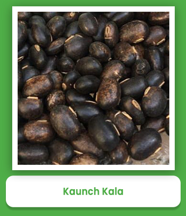 Kaunch Black Seeds