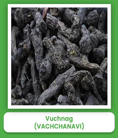 Vachchanavi Vuchnag