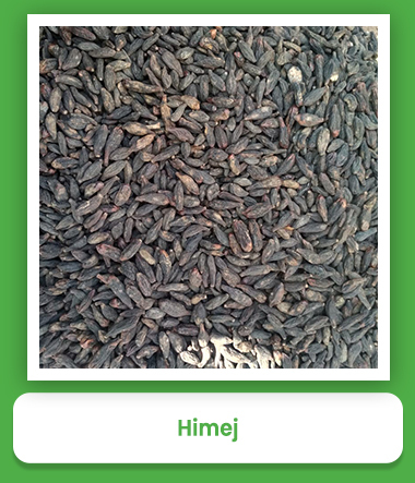 Natural Black Himej Seeds Natural Black Himej Seeds