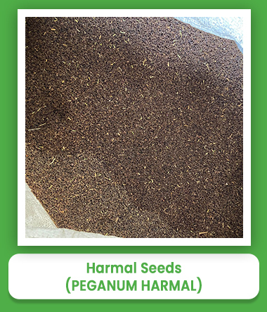 Peganum Harmal Harmal Seeds