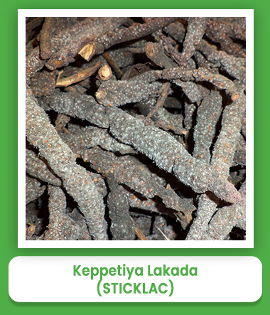 Sticklac Keppetiya Lakada