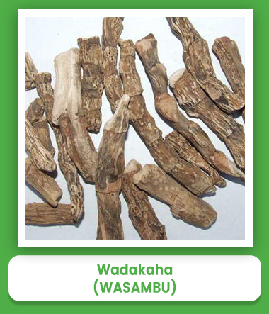 Wasambu Wadakaha