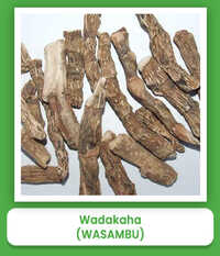 Wasambu Wadakaha