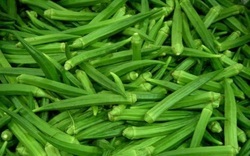 ताज़ी भिंडी