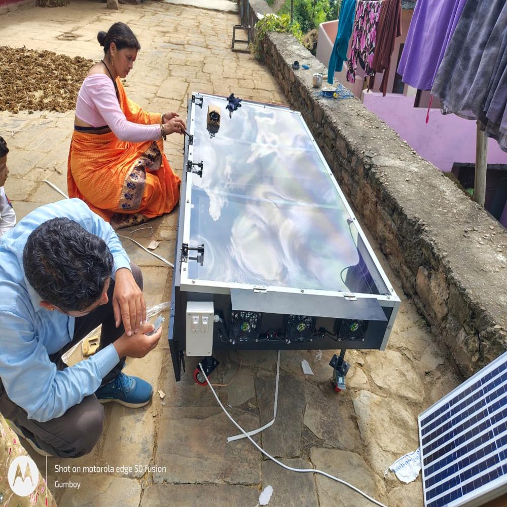 Solar Dryer For Cabbage