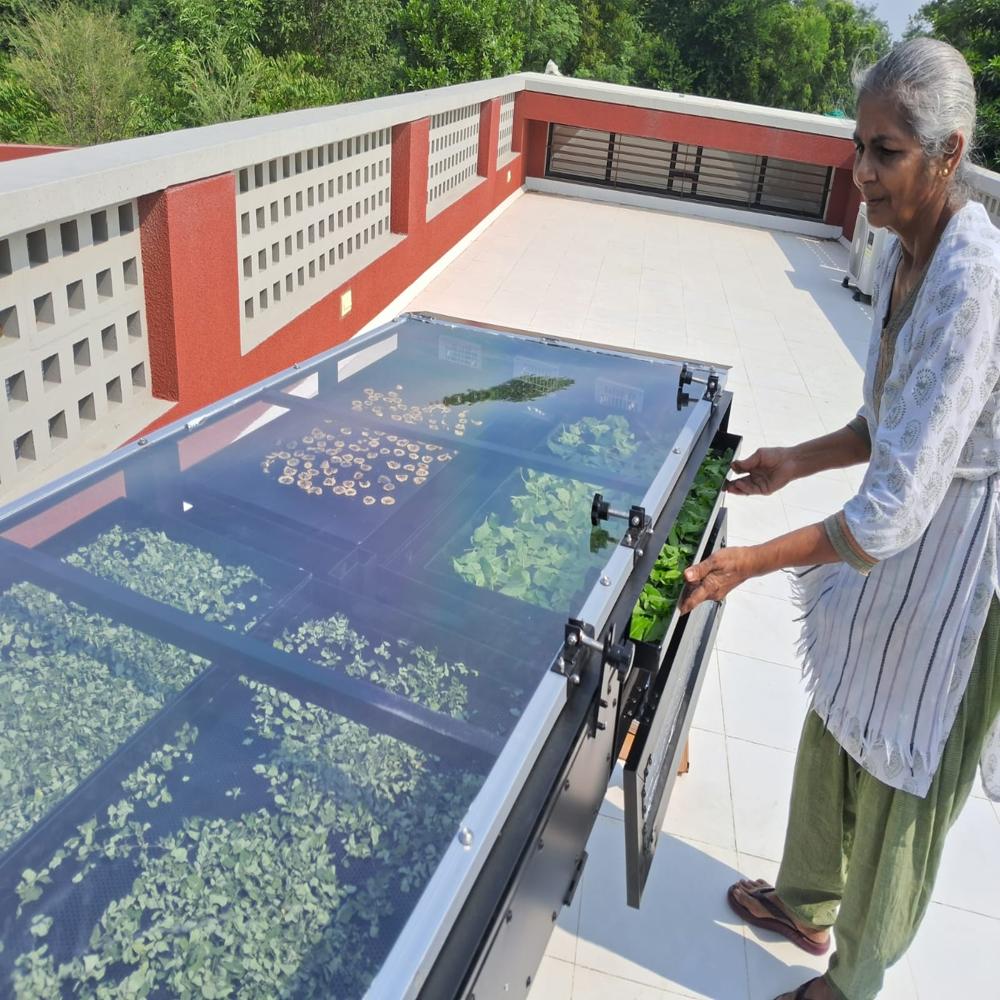 Solar Dryer For Cabbage