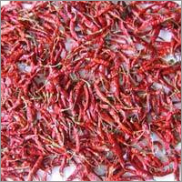लाल मिर्च