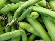 beans