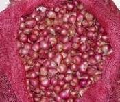 small onion
