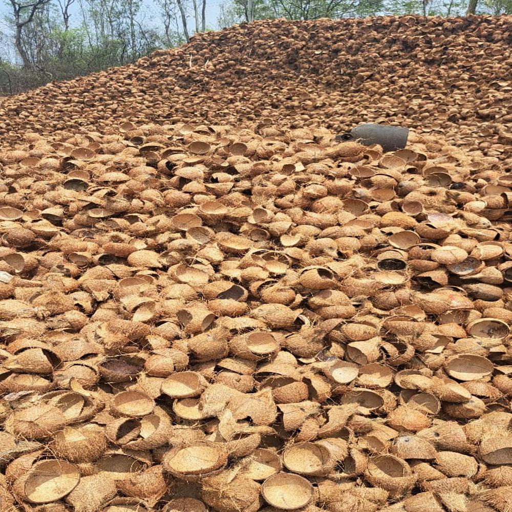 Coconut Shell