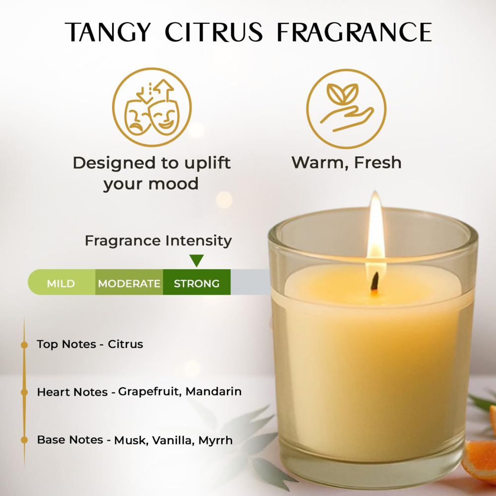 In lief Blueberry Soy-Blend Votive Candle Glass 50 gm (1 Pc)