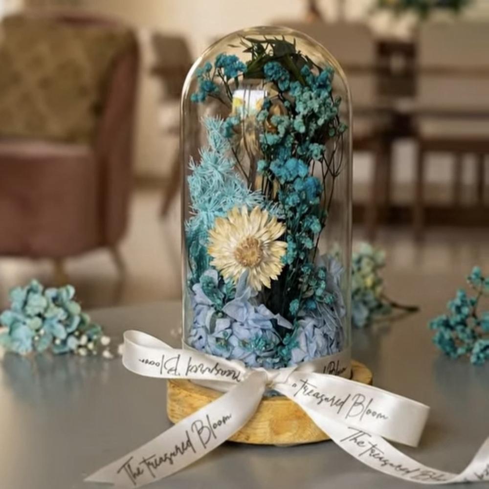 Small U Shape Glass Dome with Wooden Base
