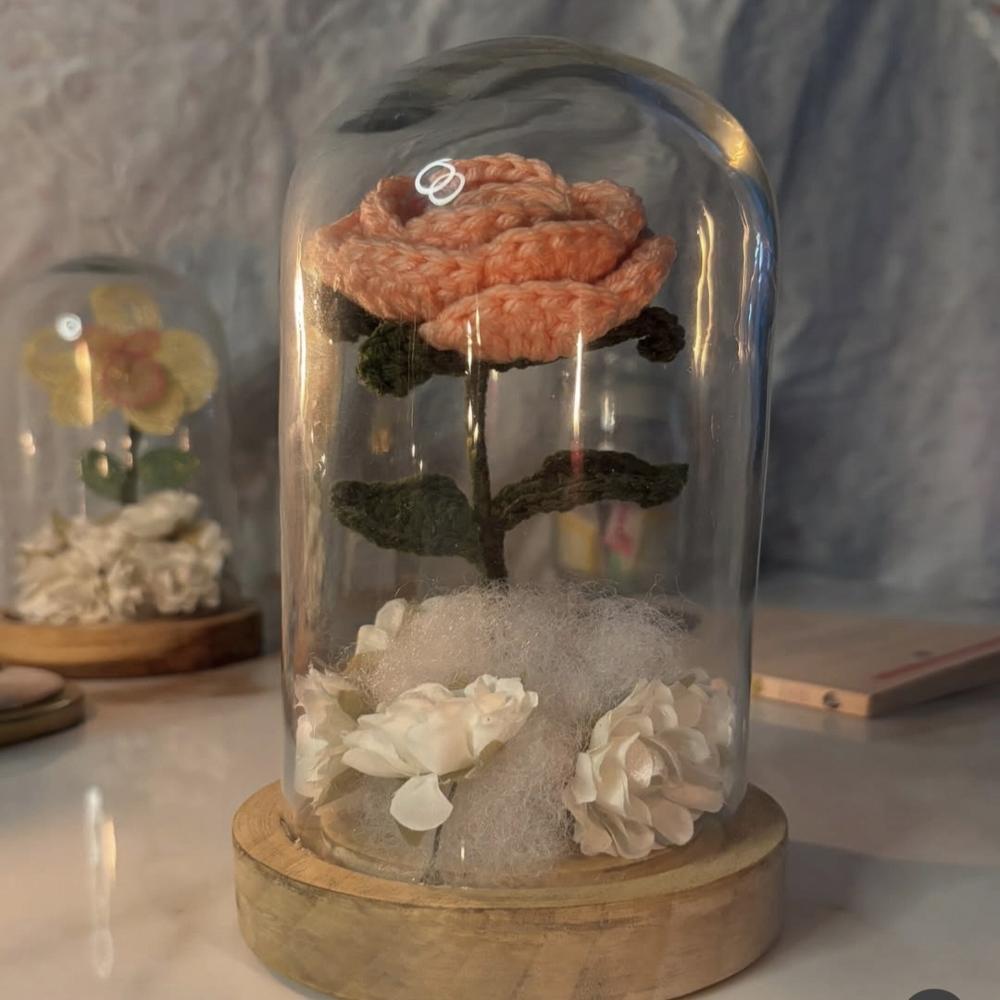 Small U Shape Glass Dome with Wooden Base