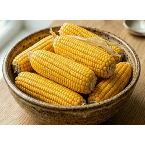 Yellow Maize