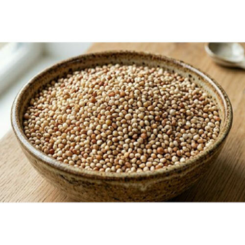 Fresh Sorghum