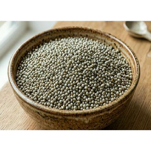 Pearl Millet