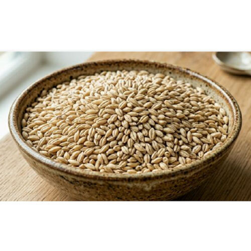 Fresh Barley