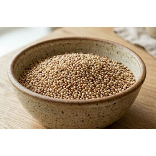Fresh Sorghum