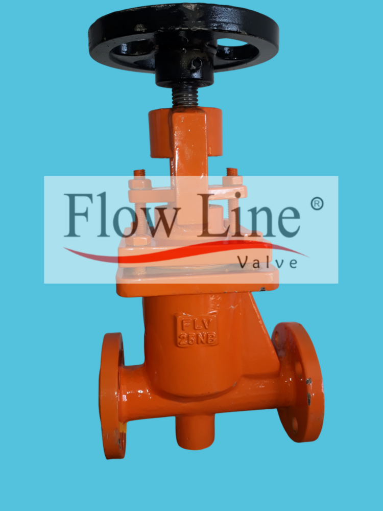 FEP Lined Globe Valve