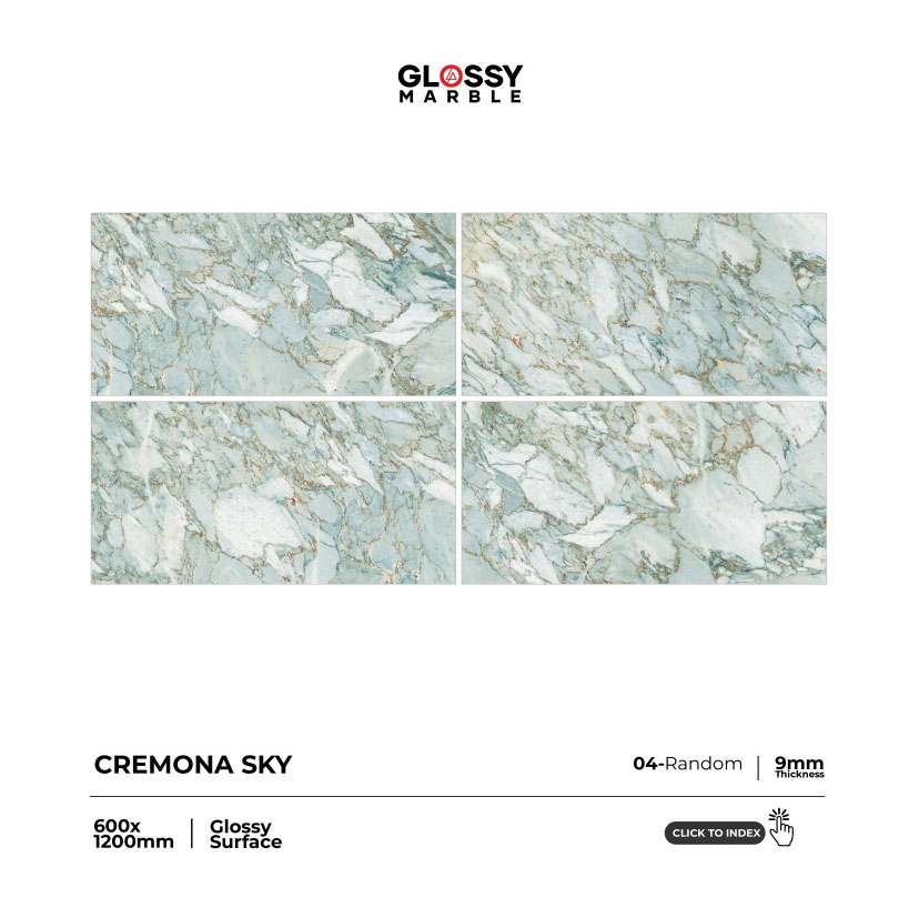 Contemporary Glossy Vitrified Tile